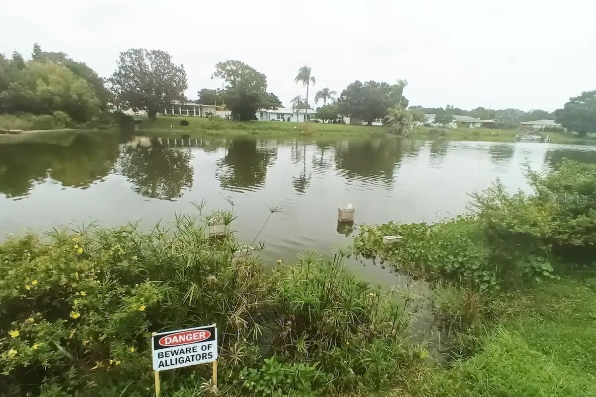 Building Photo - 305 Hammock Terrace
