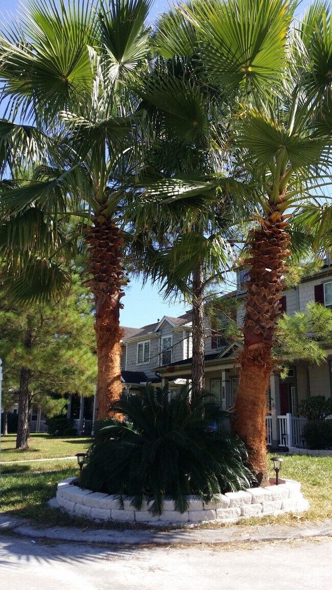 ¡Jardines exuberantes con magníficas palmeras que realzan el atractivo exterior de la casa! - 2110 village crossing trail