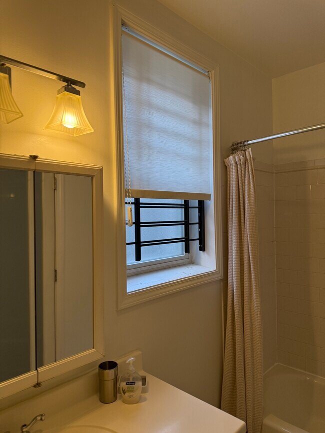 Baño principal - 741 Brummel St