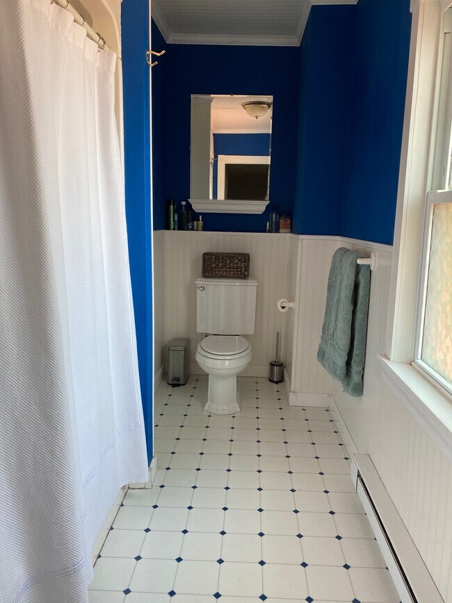 Second bathroom - 228 River St