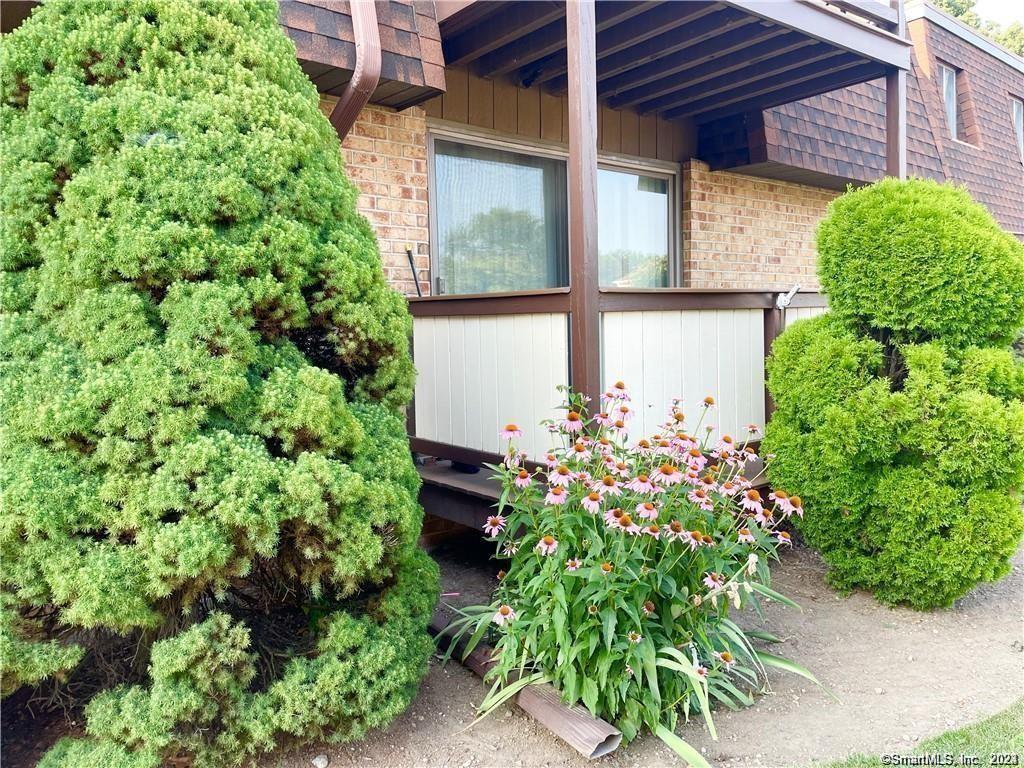 Primary Photo - 20 Maple Tree Ave