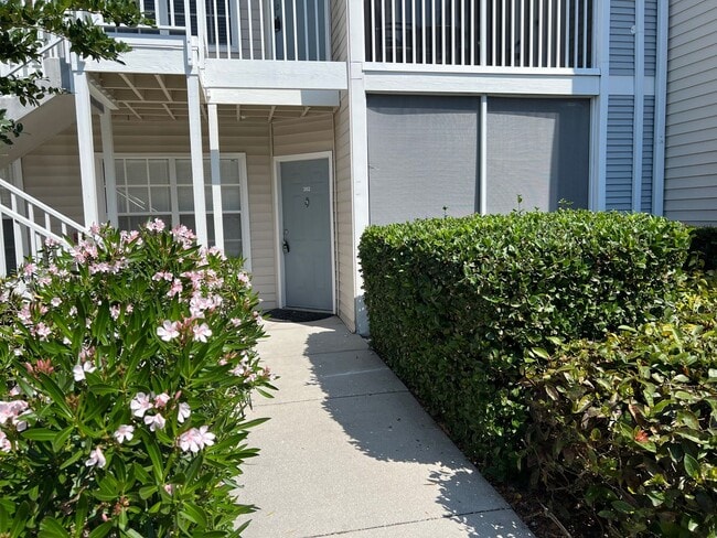 Annual Turnkey Ground floor Furnished Cond... - Annual Turnkey Ground floor Furnished Cond... House