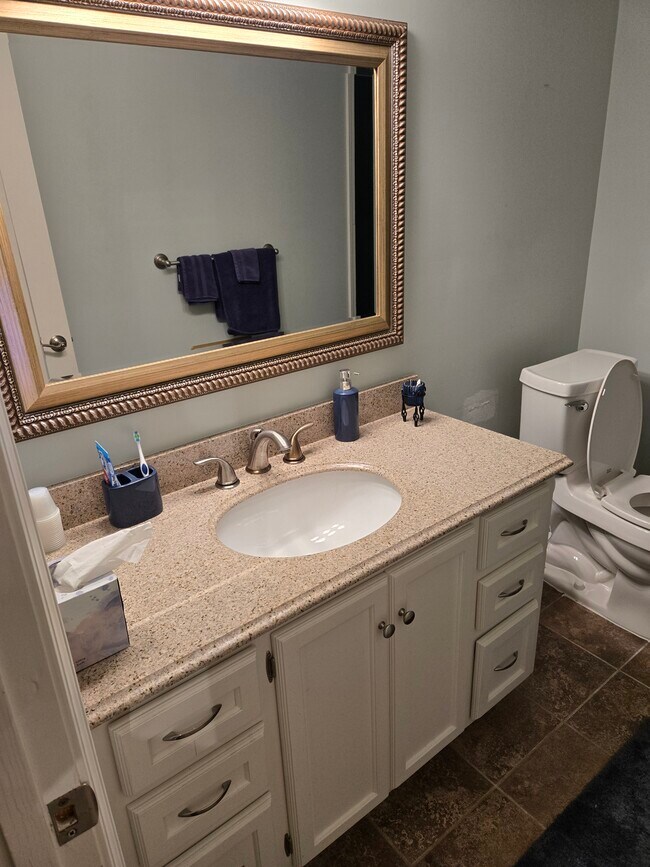 Bathroom - 870 Brookfield Pky