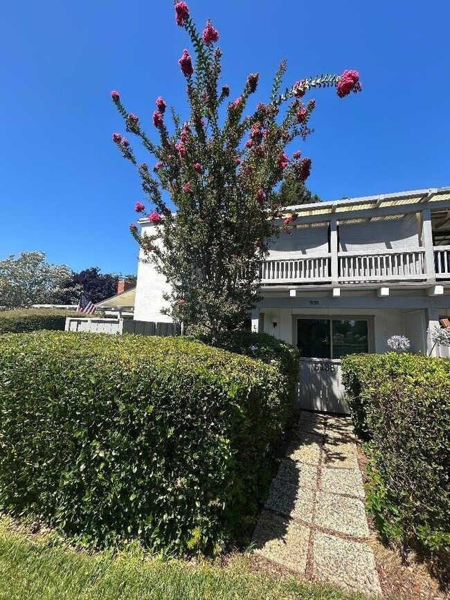 Building Photo - 5138 Cribari Pl