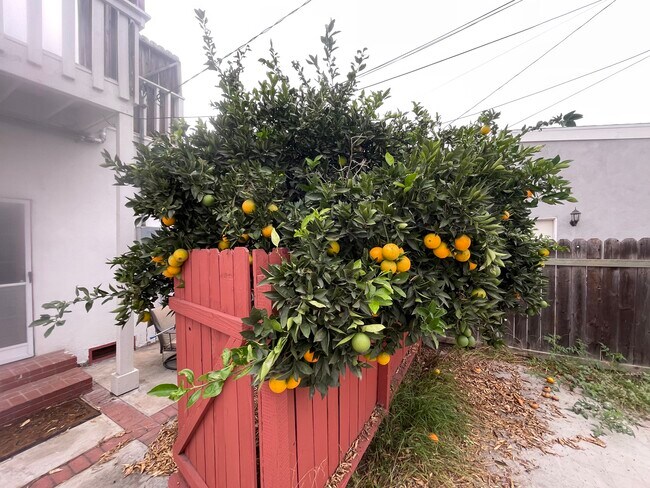 Foto del edificio - 1131 E Whiting Ave