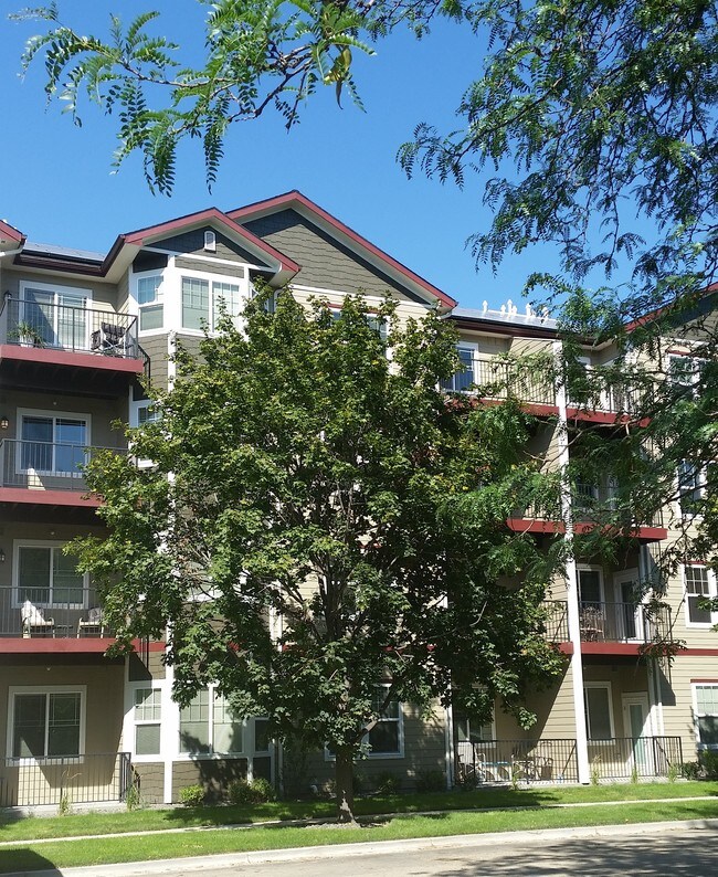 Foto del edificio - Vineyard at Sycamore Place