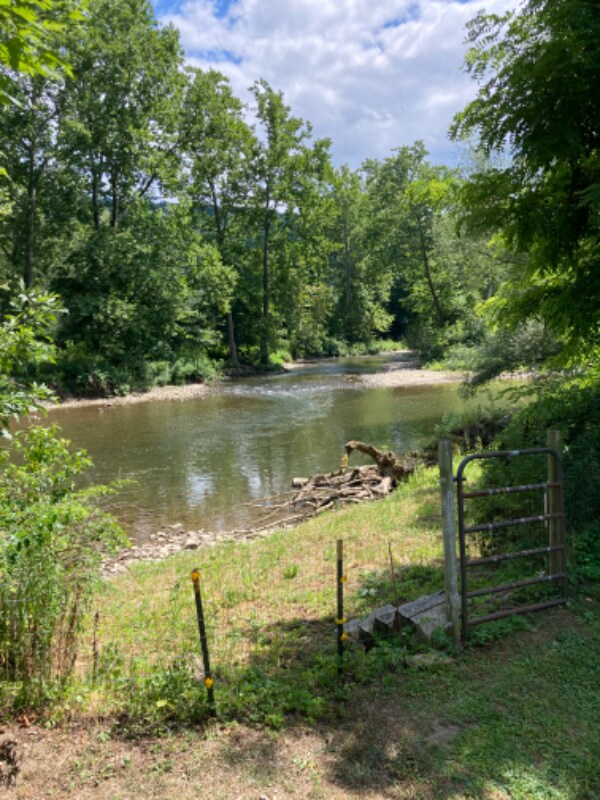 Foto principal - 2451 Old Pittsfield Rd