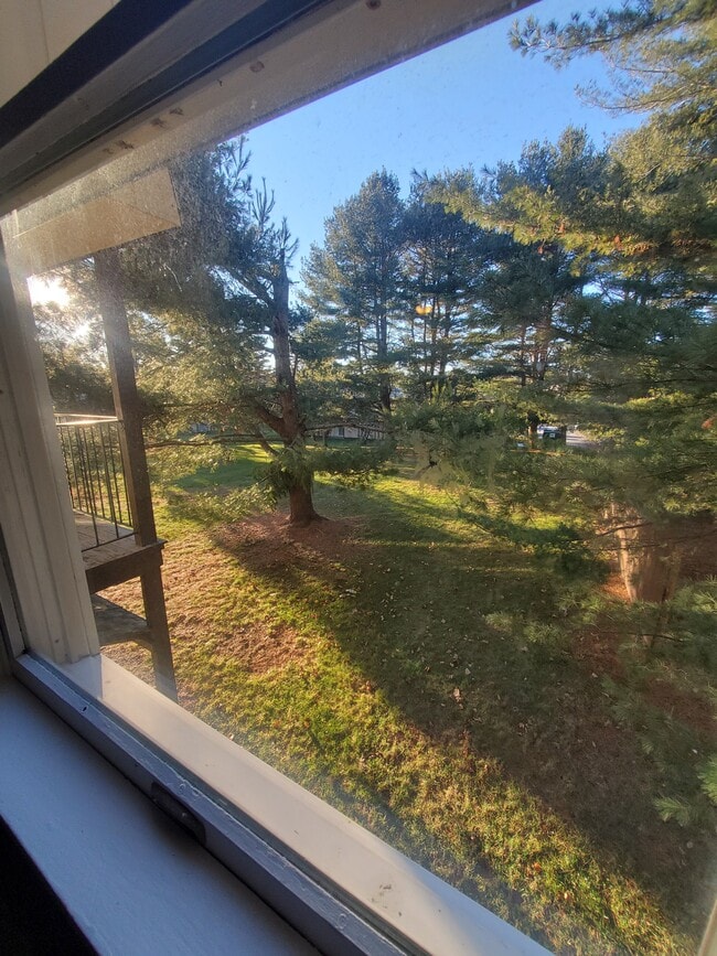 Bedroom window view - 87 University St