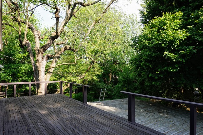 Back 2nd story deck - 17 E Powell Ave