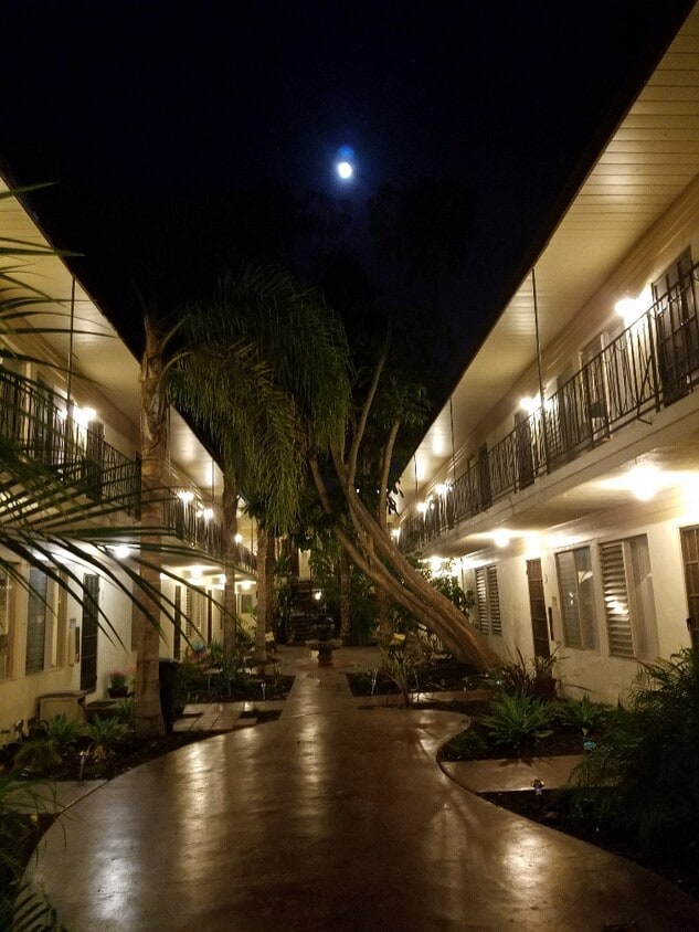 Área común - The Palms