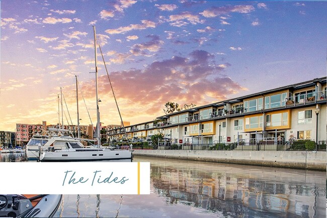 The Tides at Marina Harbor - Marina Harbor