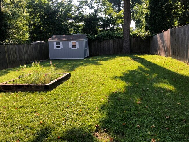 Back yard and shed - 402 Mclane Ct