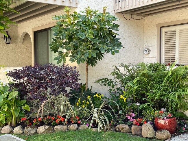 Building Photo - Gorgeous 2BR 2BA Lake front Townhouse in L...