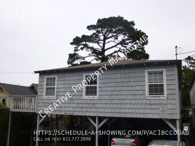 Building Photo - Well located 1 Bedroom in New Monterey