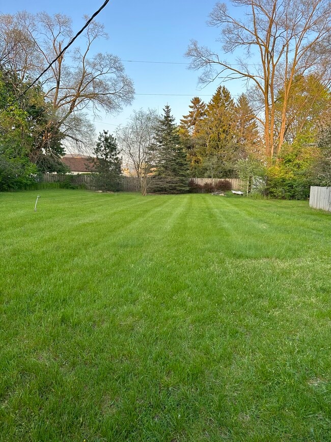 Backyard - 9180 N Lilley Rd