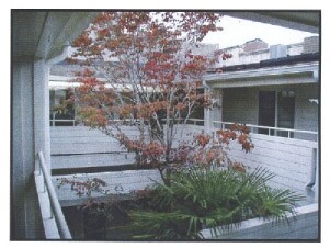 Foto del edificio - Daphne Apartments