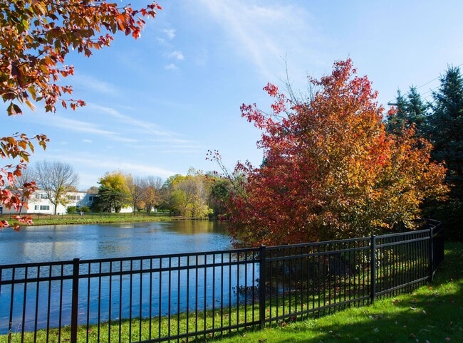 View - Evergreen East