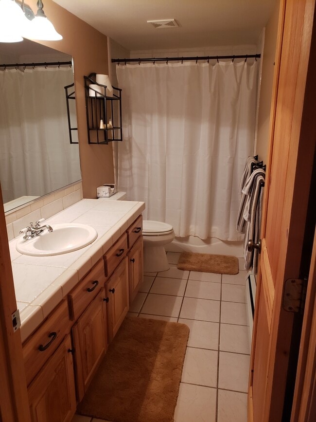 Bathroom - 150 Snow Cap Ln