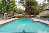This outdoor pool area offers a welcoming retreat defined by its expansive, crystal-clear swimming pool with a classic rectangular layout and brick-edged coping. The pool is divided by a lane line, accommodating both recreational swimmers and lap swimmers alike. Surrounding the pool is a generous poured-concrete and brick sundeck furnished with numerous blue lounge chairs and dark wood-framed seating, providing ample space for relaxation and sunbathing. Bright yellow patio umbrellas are strategically positioned around the deck, offering shaded gathering spots for groups. The entire pool area is enclosed by a wrought iron safety fence, ensuring a secure and well-defined space. A charming single-story pool house with French doors and a hip roof sits directly adjacent to the pool, providing convenient access to amenities and facilities. The backdrop is dominated by towering mature pine and hardwood trees that create a lush, green canopy, lending the space a serene, nature-immersed atmosphere. Potted plants and manicured shrubbery along the fence line add additional color and landscaping detail. The overall ambiance is that of a well-maintained, resort-style outdoor amenity space ideal for community recreation and leisure.