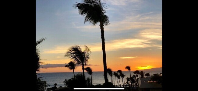 Foto del edificio - 2531 S Kihei Rd
