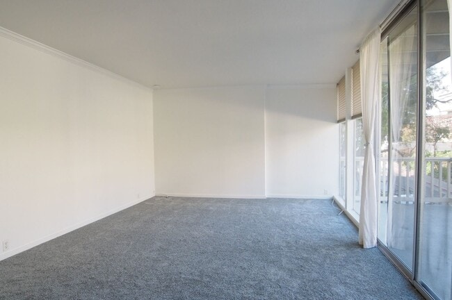 Building Photo - Cozy 1br condo in Tiburon w/amazing views