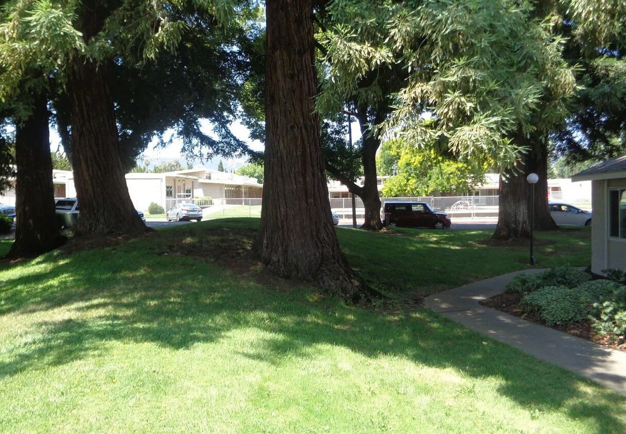 339 Eldridge Ave, Vacaville, CA 95688 Townhome Rentals in Vacaville