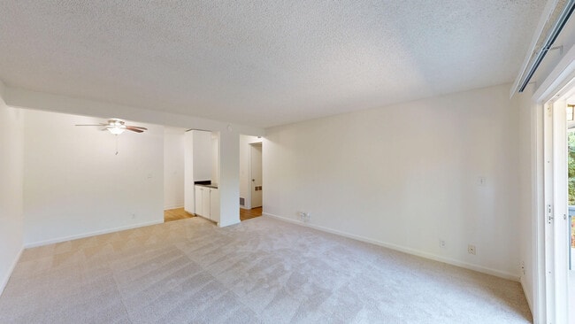 Building Photo - 1004 Ignacio Blvd