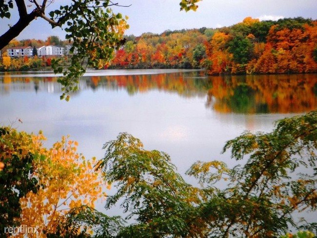 Foto del edificio - 2 br, 2 bath  - 1741 Cliffs Lndg Apt 5