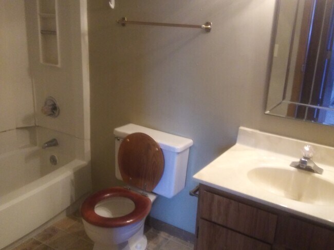 Master Bathroom - 3921 Mack Rd