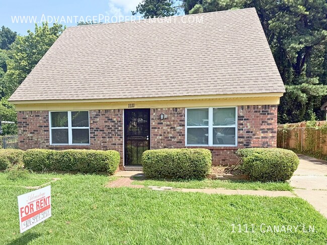 Building Photo - 1111 Canary Ln