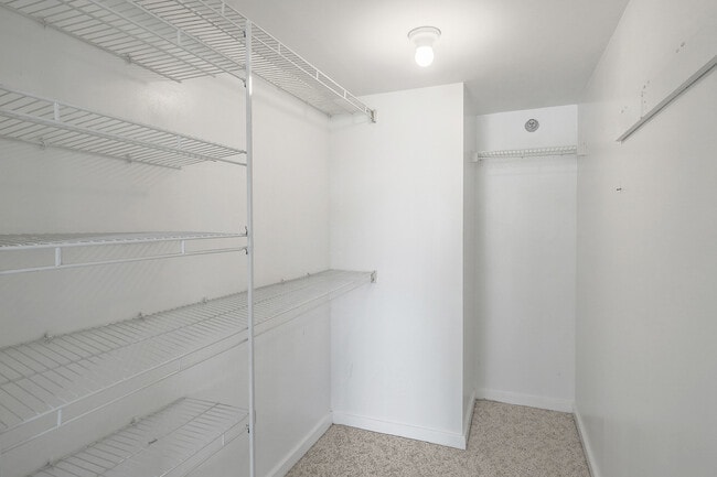 Building Photo - 127 Greyrock Pl