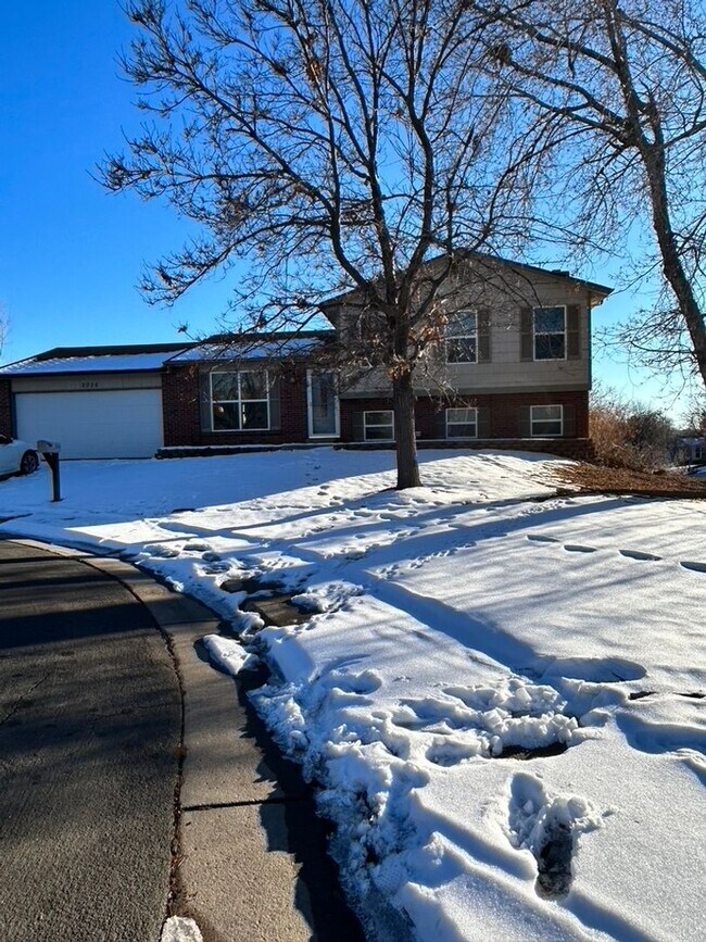 Foto del edificio - BEAUTIFUL UPDATED 3 BR/2 BA HOME IN AURORA...