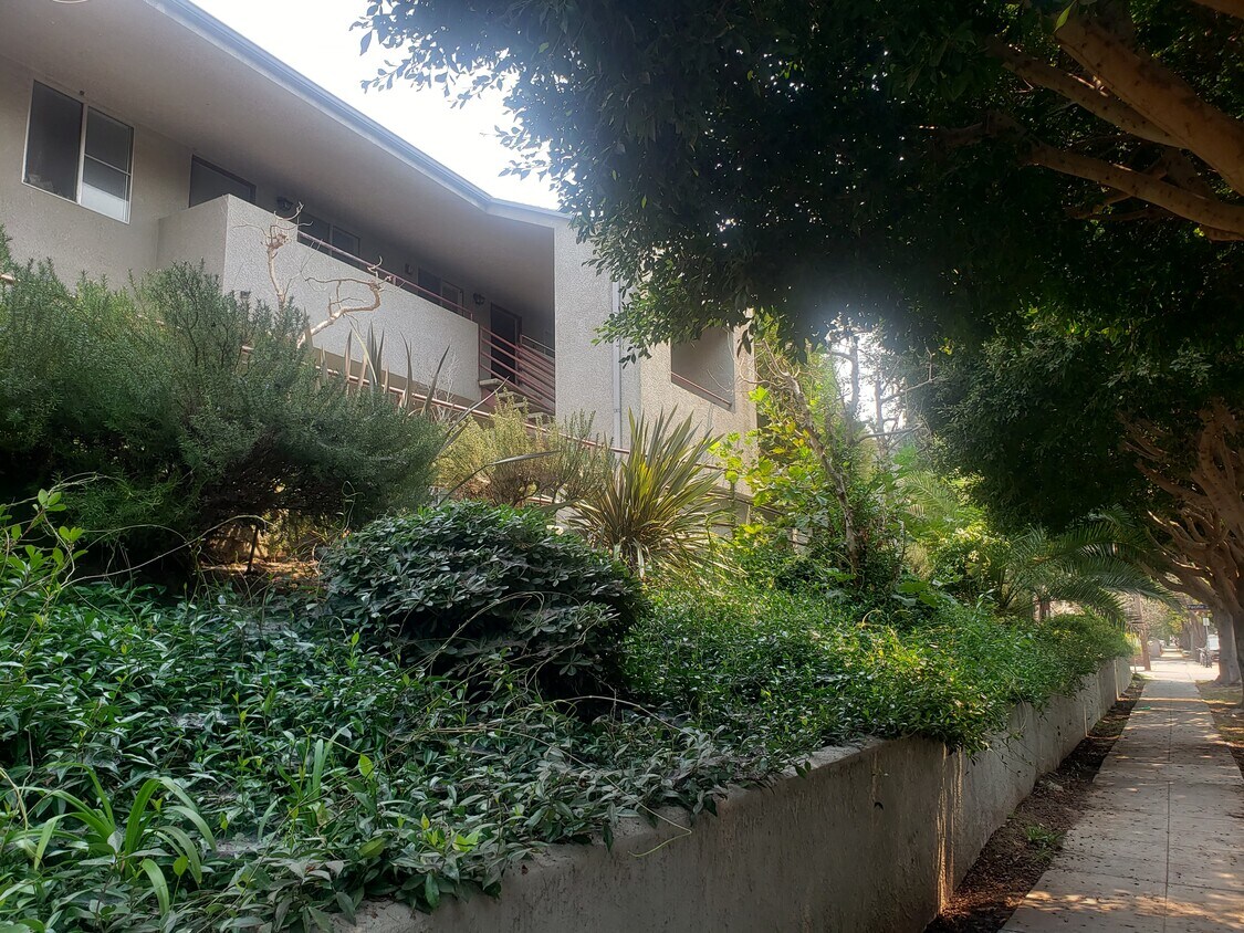 Primary Photo - 501 Pacific St