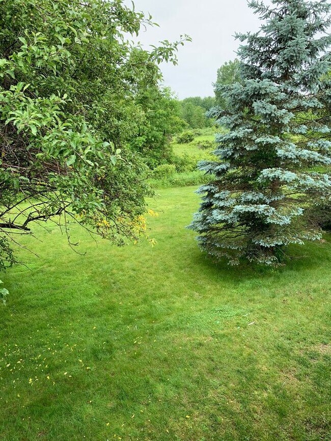 Building Photo - 2 Bedroom apartment in great location