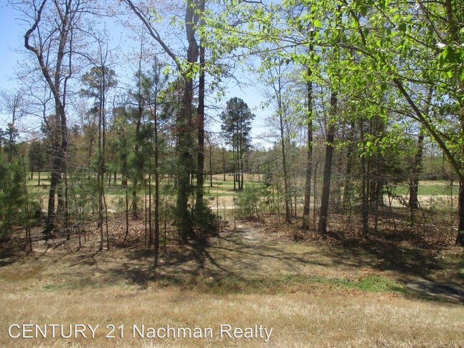 Foto del edificio - 2 br, 2 bath House - 1406 Braemar Creek