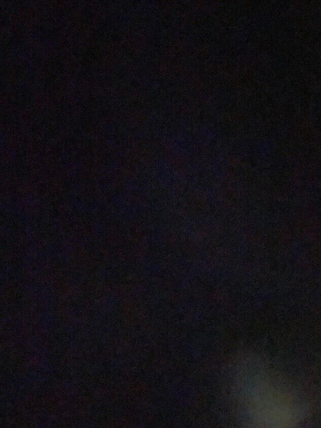 Kitchen - 81 Bostwick Ave