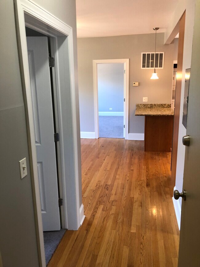 Unit Entry Hallway - 7633 N Greenview Ave