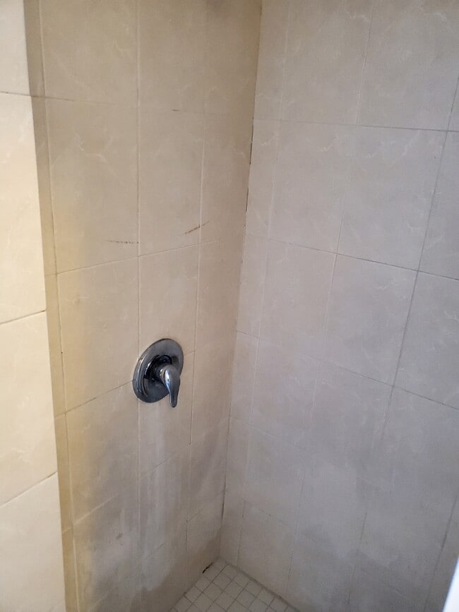 Remodel shower - 2324 Scarff St
