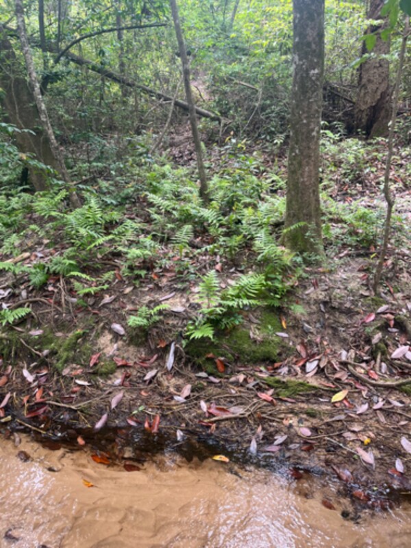 Foto del edificio - 7597 Northpointe Blvd