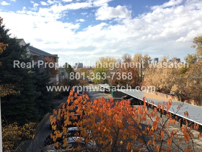 Building Photo - Charming 3 Bedroom 2 Bathroom Downtown Condo!