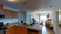 This single-floor space is designed around an open-concept layout that integrates the kitchen and living areas into one cohesive environment. The kitchen is anchored by a generous island/peninsula with granite-style countertops, a double stainless steel sink, and warm medium-toned wood cabinetry offering ample storage. A built-in dishwasher is integrated beneath the counter, contributing to the kitchen's functional, streamlined aesthetic. Recessed and pendant lighting illuminate the workspace effectively.

The kitchen transitions naturally into the living area, which benefits from large floor-to-ceiling windows that allow abundant natural light to fill the space. Neutral light-blue and white walls complement the warm wood tones of the cabinetry and flooring. The living area is furnished with a glass coffee table, comfortable seating, and decorative elements including an indoor plant and patterned drapery panels flanking the windows. A doorway visible from the kitchen leads to a private room beyond, suggesting a well-organized residential layout. The overall ambiance is modern, clean, and inviting.