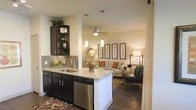 This single-floor space showcases an open-concept layout that connects the kitchen and living area in a cohesive, functional design. The kitchen is appointed with dark espresso cabinetry, including open shelving for display, and features light granite countertops on both the perimeter surfaces and a central island. Stainless steel appliances, including a dishwasher, complement the space, while a tile backsplash adds texture. Pendant lighting hangs above the island, providing focused task lighting with a modern aesthetic touch.

The kitchen flows directly into the living area, which is anchored by warm hardwood flooring and neutral-toned walls that create a welcoming ambiance. A ceiling fan provides both light and air circulation overhead. The living space is well-proportioned, accommodating a sofa with accent pillows and a sleek accent chair, alongside a side table with a lamp. A series of framed botanical artwork lines the far wall, adding visual interest. Natural light filters softly into the space, enhancing the overall warm, inviting atmosphere throughout.