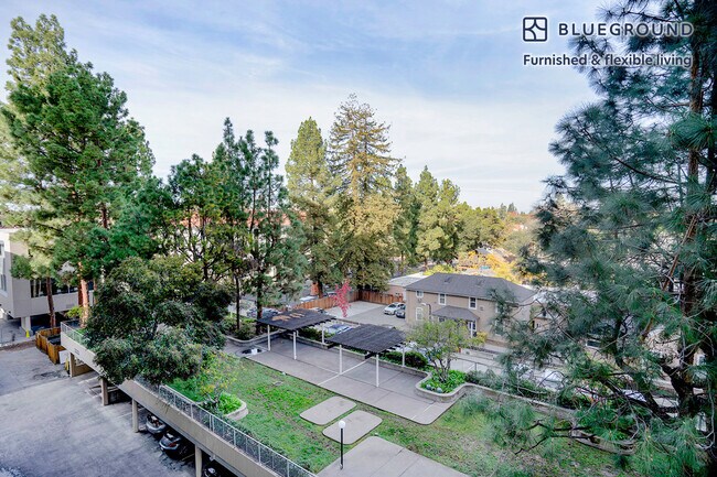 Foto del edificio - 501 Forest Ave