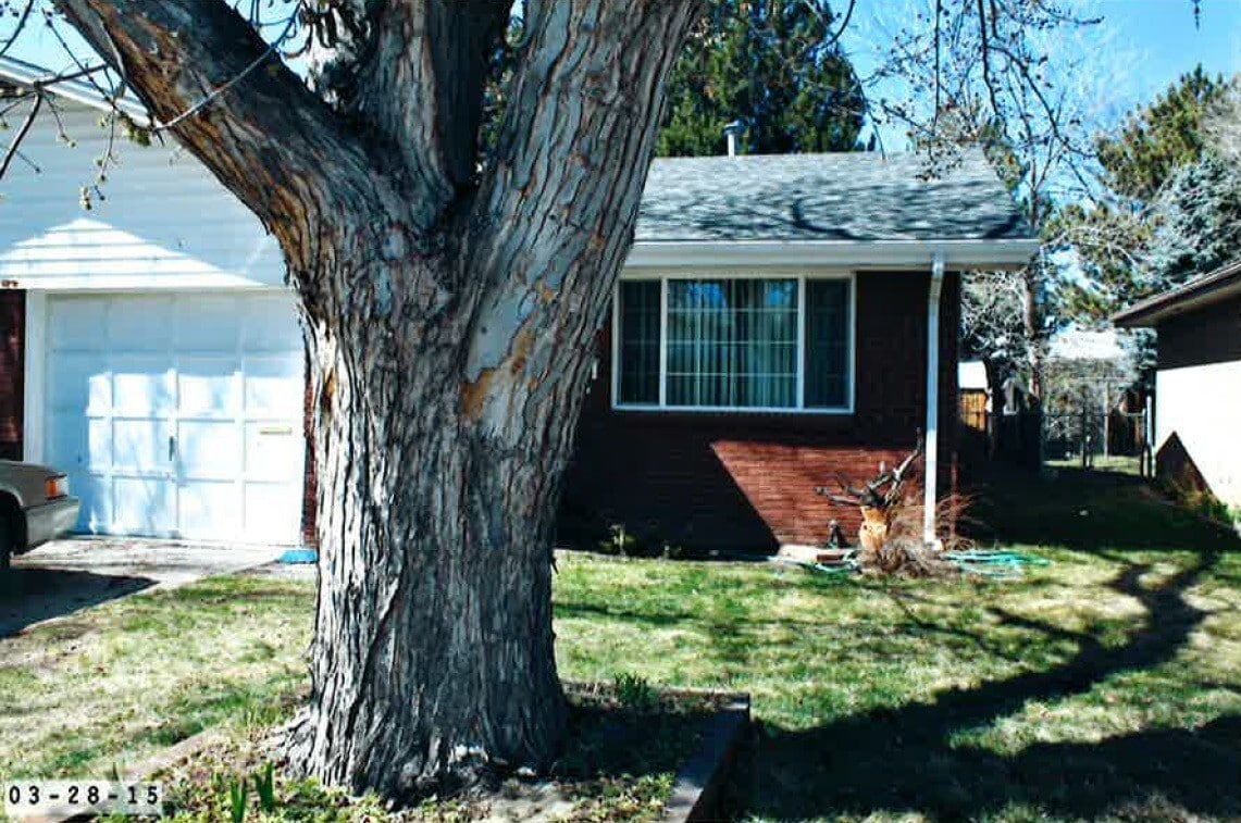 Photo - 1439-1441 Stuart St (Longmont, CO)