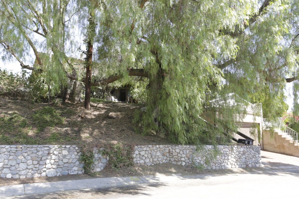 Primary Photo - Olive Heights 4 Bd/ 2Ba with City Views