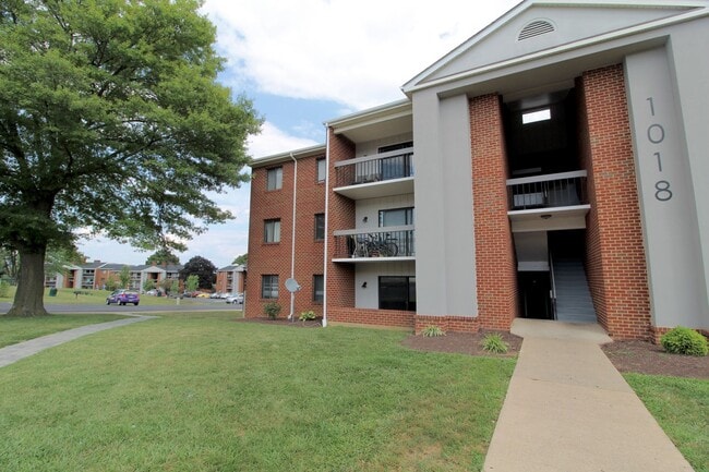 Photo - 1018-1 Blue Ridge Dr Apartment