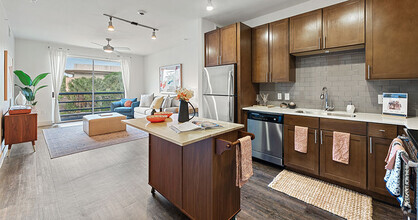 Building Photo - The Standard at Domain Northside Apartments
