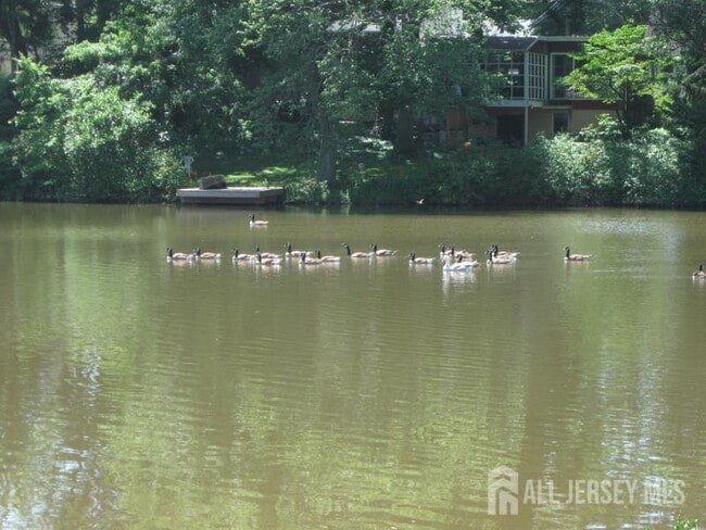 Building Photo - 45 Lakeside Dr S