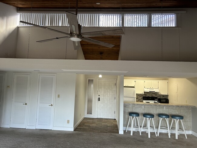 Entrance with vaulted ceiling view - 3048 Camelot Dr