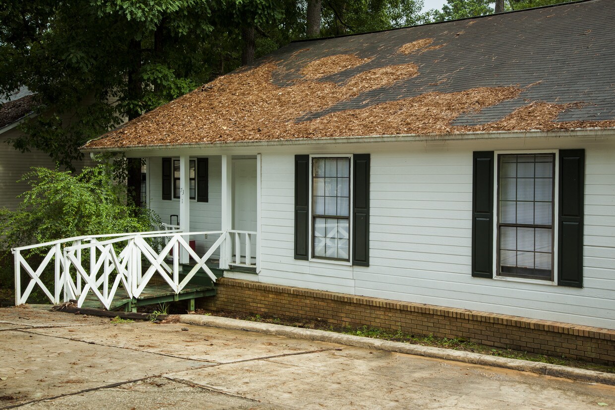 Primary Photo - 73 Hickory Knoll